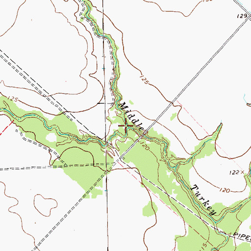 Topographic Map of West Turkey Creek, TX