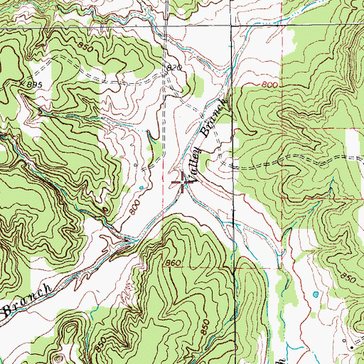 Topographic Map of West Valley Branch, TX