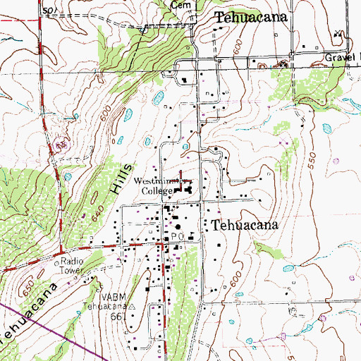 Topographic Map of Westminster College (historical), TX