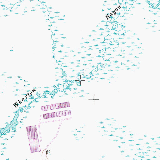 Topographic Map of Wharton Bayou, TX