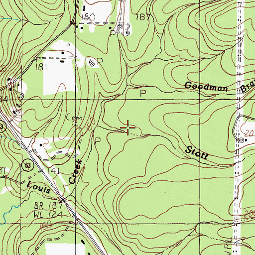 Topographic Map of White Branch, TX