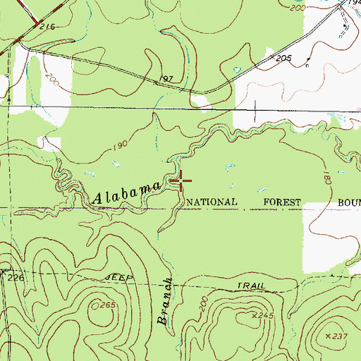 Topographic Map of White Branch, TX