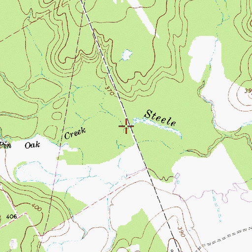 Topographic Map of White Branch, TX