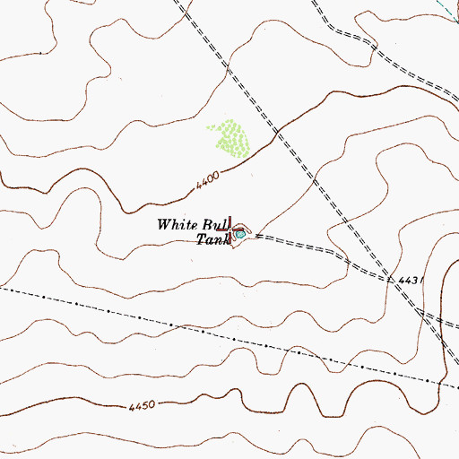 Topographic Map of White Bull Tank, TX