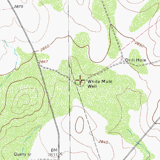 Topographic Map of White Mule Well, TX