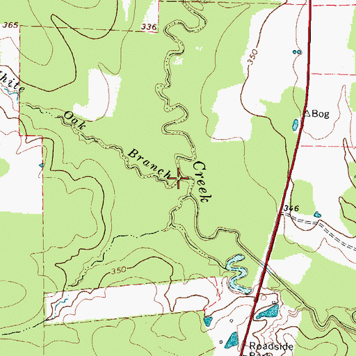 Topographic Map of White Oak Branch, TX