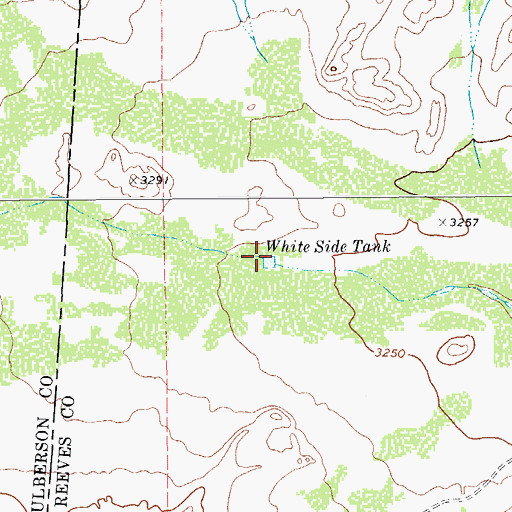 Topographic Map of White Side Tank, TX