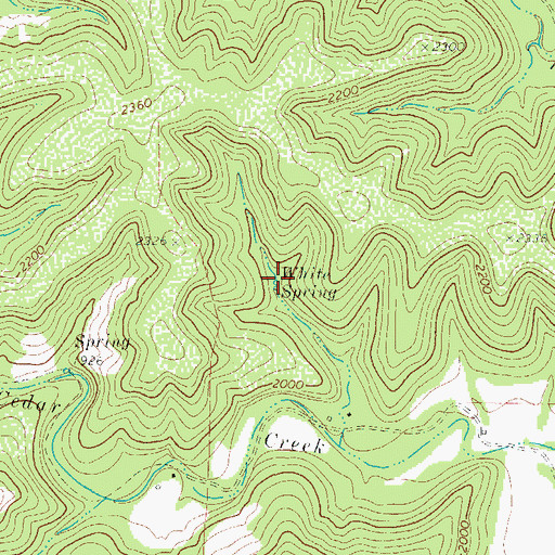 Topographic Map of White Spring, TX