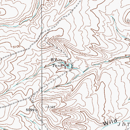 Topographic Map of White Tank, TX