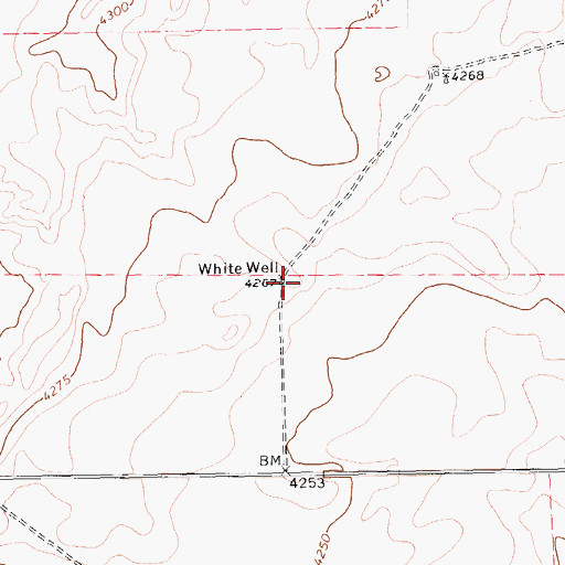 Topographic Map of White Well, TX