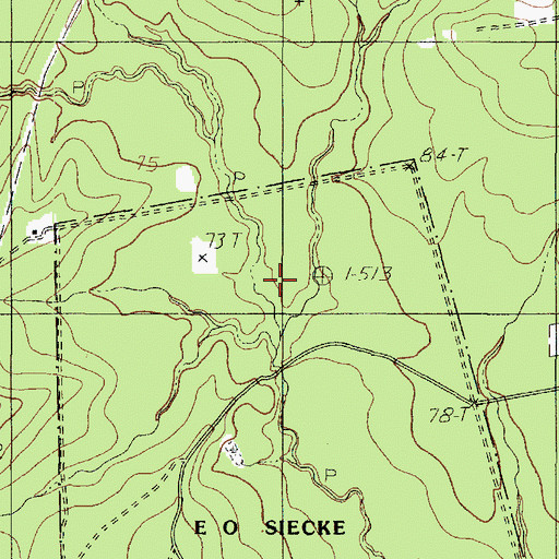 Topographic Map of Whitman Branch, TX