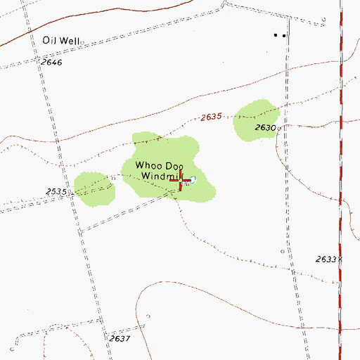 Topographic Map of Whoo Doo Windmill, TX