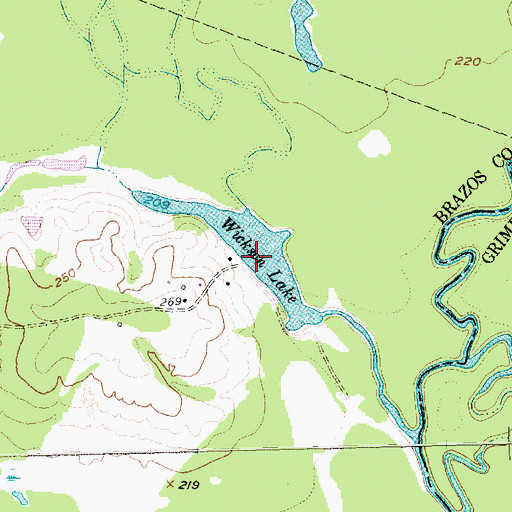 Topographic Map of Wickson Lake, TX