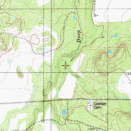 Topographic Map of Wild Cow Branch, TX