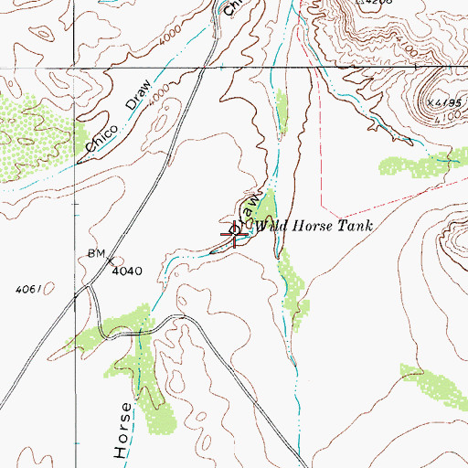 Topographic Map of Wild Horse Tank, TX