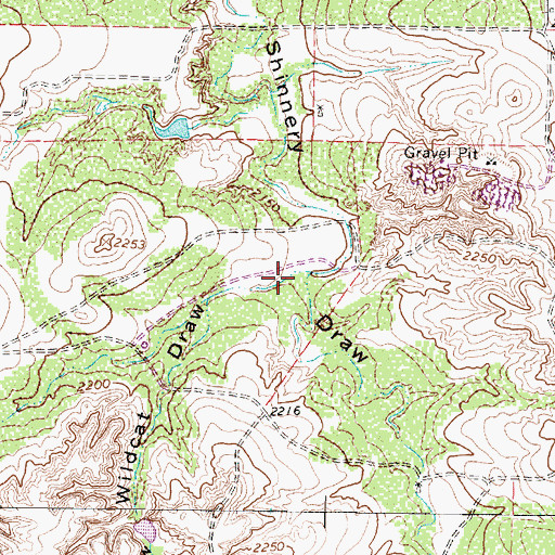 Topographic Map of Wildcat Draw, TX