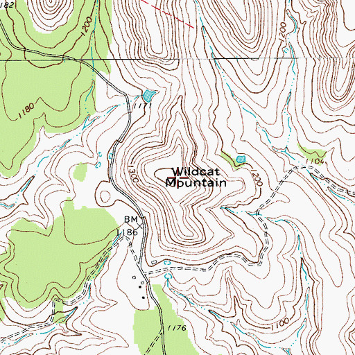 Topographic Map of Wildcat Mountain, TX