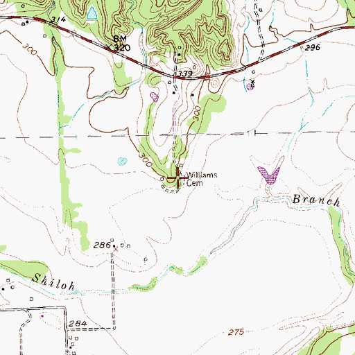 Topographic Map of Williams Family Cemetery, TX