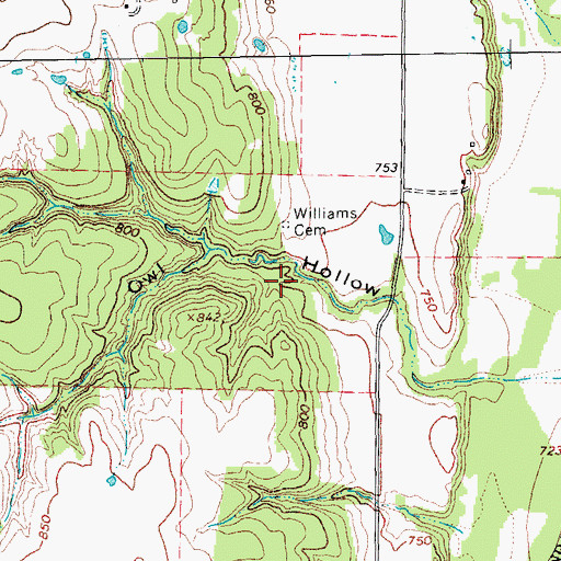 Topographic Map of Williams Cemetery, TX