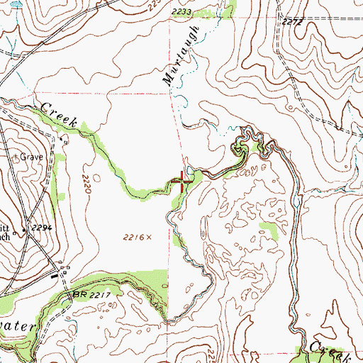 Topographic Map of Williams Creek, TX