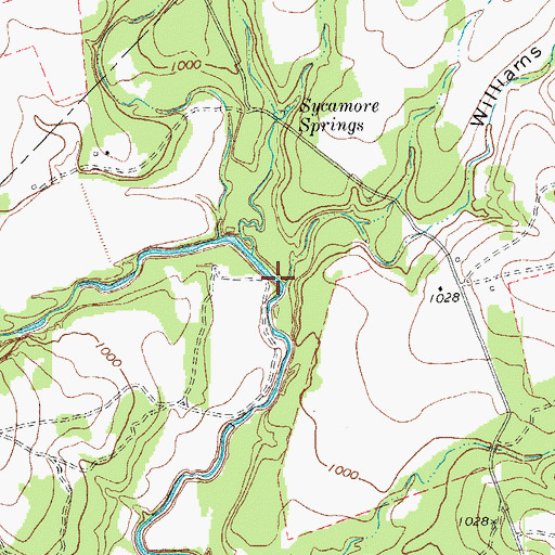 Topographic Map of Williams Hollow, TX