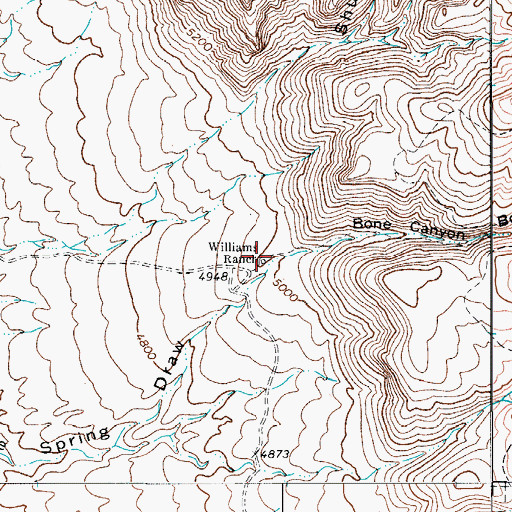 Topographic Map of Williams Ranch, TX