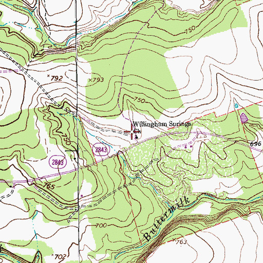 Topographic Map of Willingham Springs Church (historical), TX