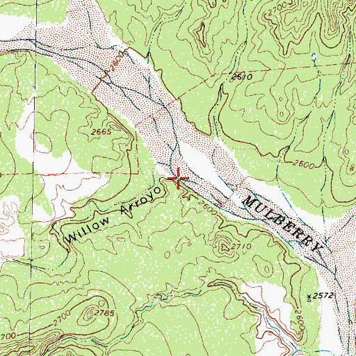 Topographic Map of Willow Arroyo, TX