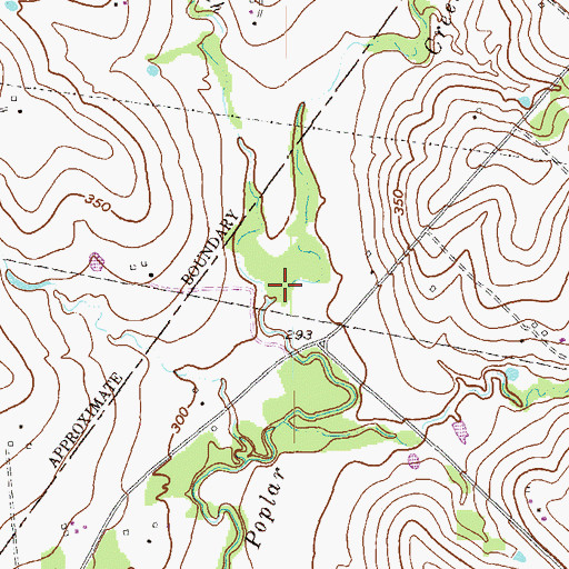 Topographic Map of Willow Branch, TX
