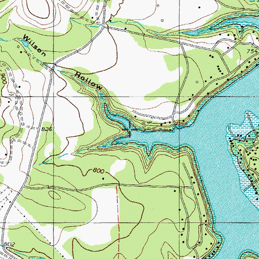 Topographic Map of Wilson Hollow, TX