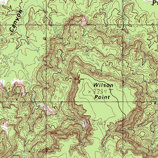 Topographic Map of Wilson Point, TX