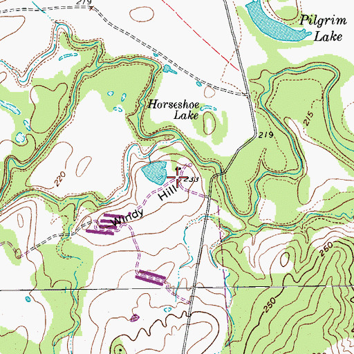 Topographic Map of Windy Hill, TX