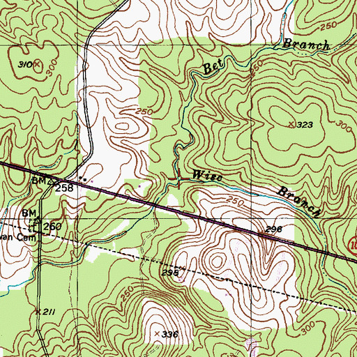 Topographic Map of Wise Branch, TX
