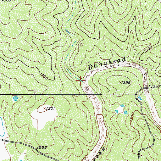 Topographic Map of Wolf Creek, TX
