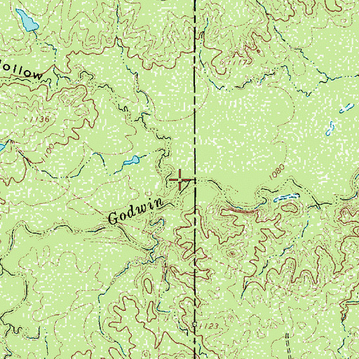 Topographic Map of Wolf Hollow, TX