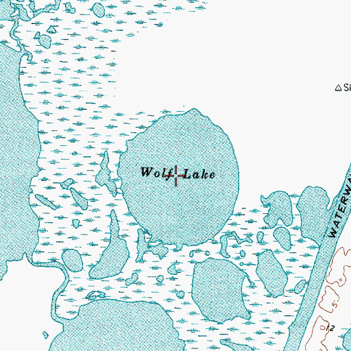 Topographic Map of Wolf Lake, TX