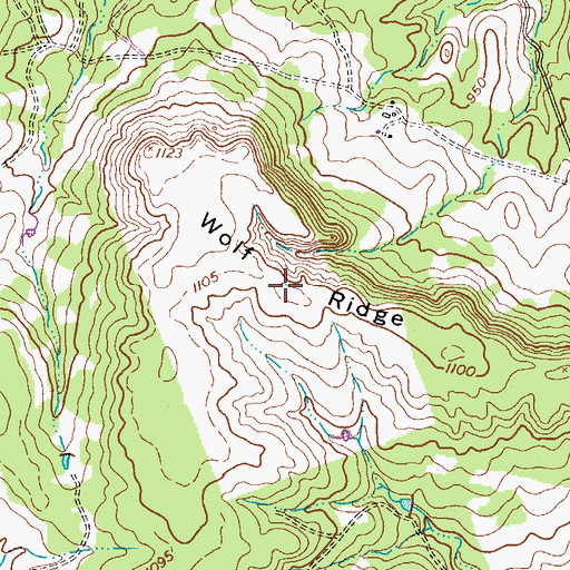 Topographic Map of Wolf Ridge, TX