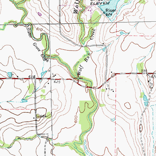 Topographic Map of Wolf Run Creek, TX