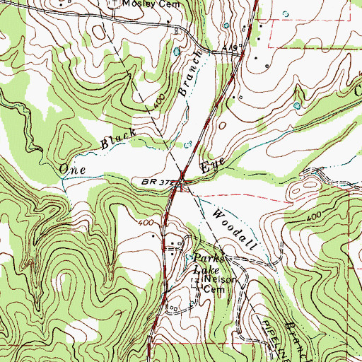Topographic Map of Woodall Branch, TX