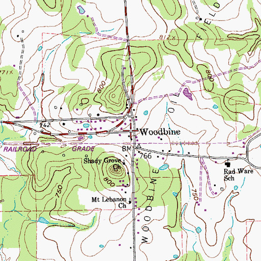 Topographic Map of Woodbine, TX