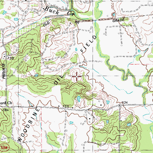 Topographic Map of Woodbine Oil Field, TX