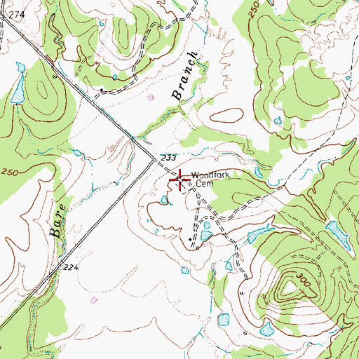 Topographic Map of Woodfork Cemetery, TX