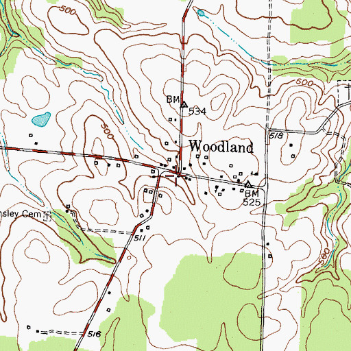 Topographic Map of Woodland, TX