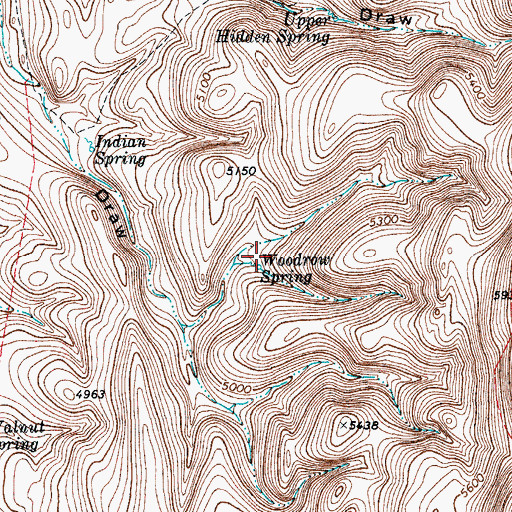 Topographic Map of Woodrow Spring, TX