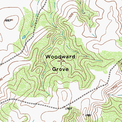 Topographic Map of Woodward Grove, TX