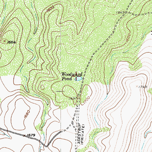 Topographic Map of Woodward Pond, TX