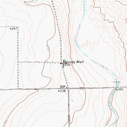 Topographic Map of Woody Well, TX