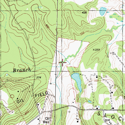 Topographic Map of Yellow Branch, TX