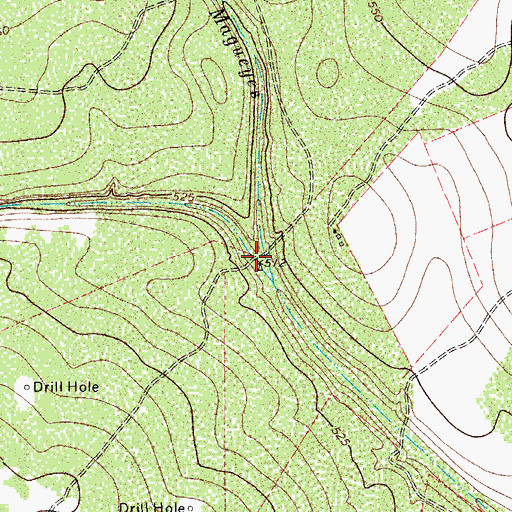 Topographic Map of Arroyo de Magueyes, TX