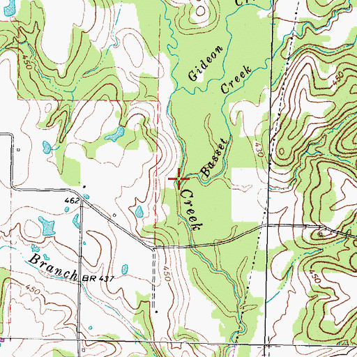 Topographic Map of Basset Branch, TX